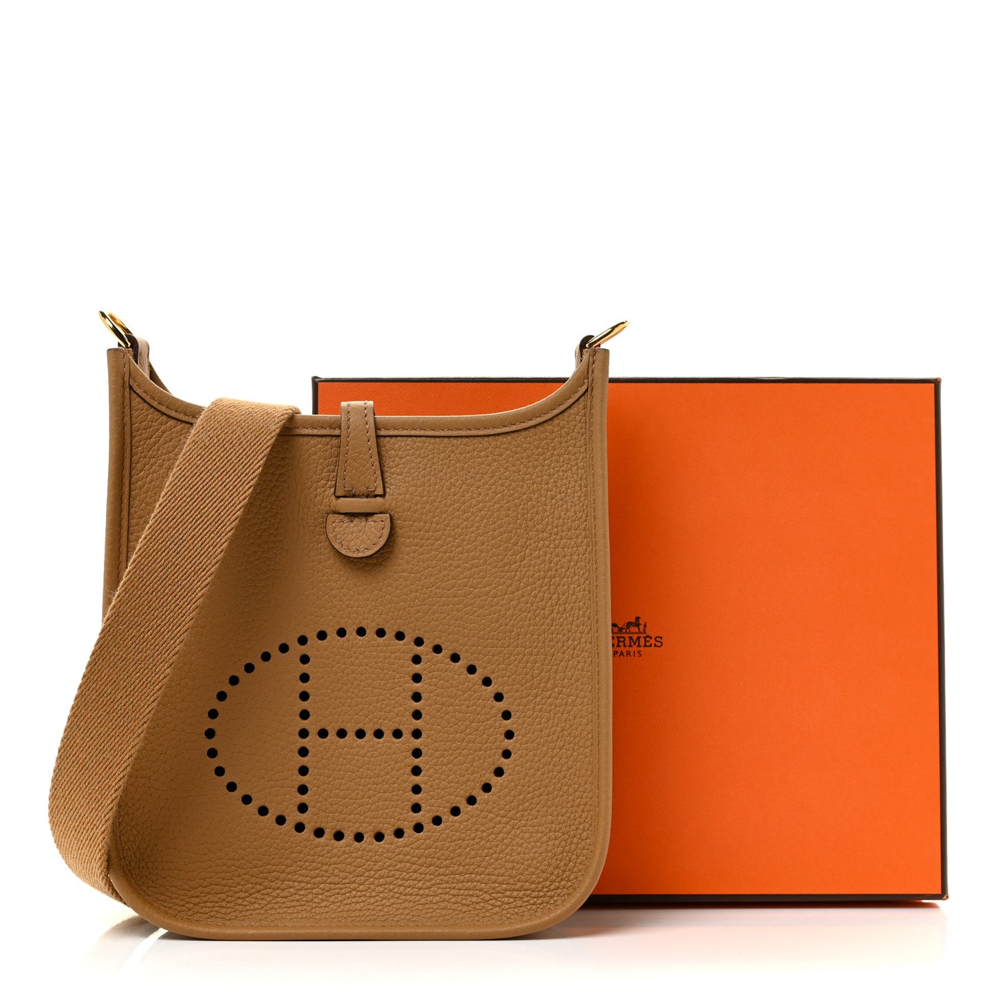 Taurillon Clemence Evelyne TPM Biscuit