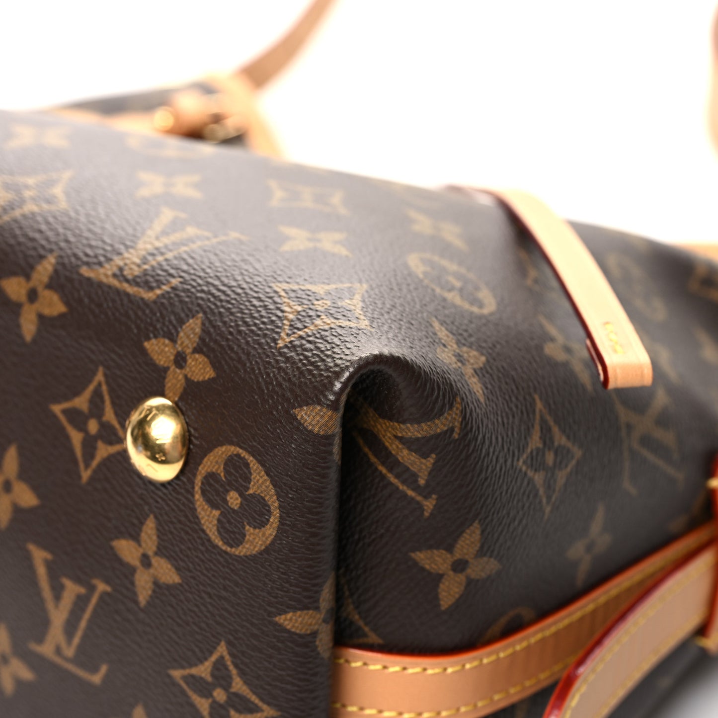 Monogram CarryAll PM
