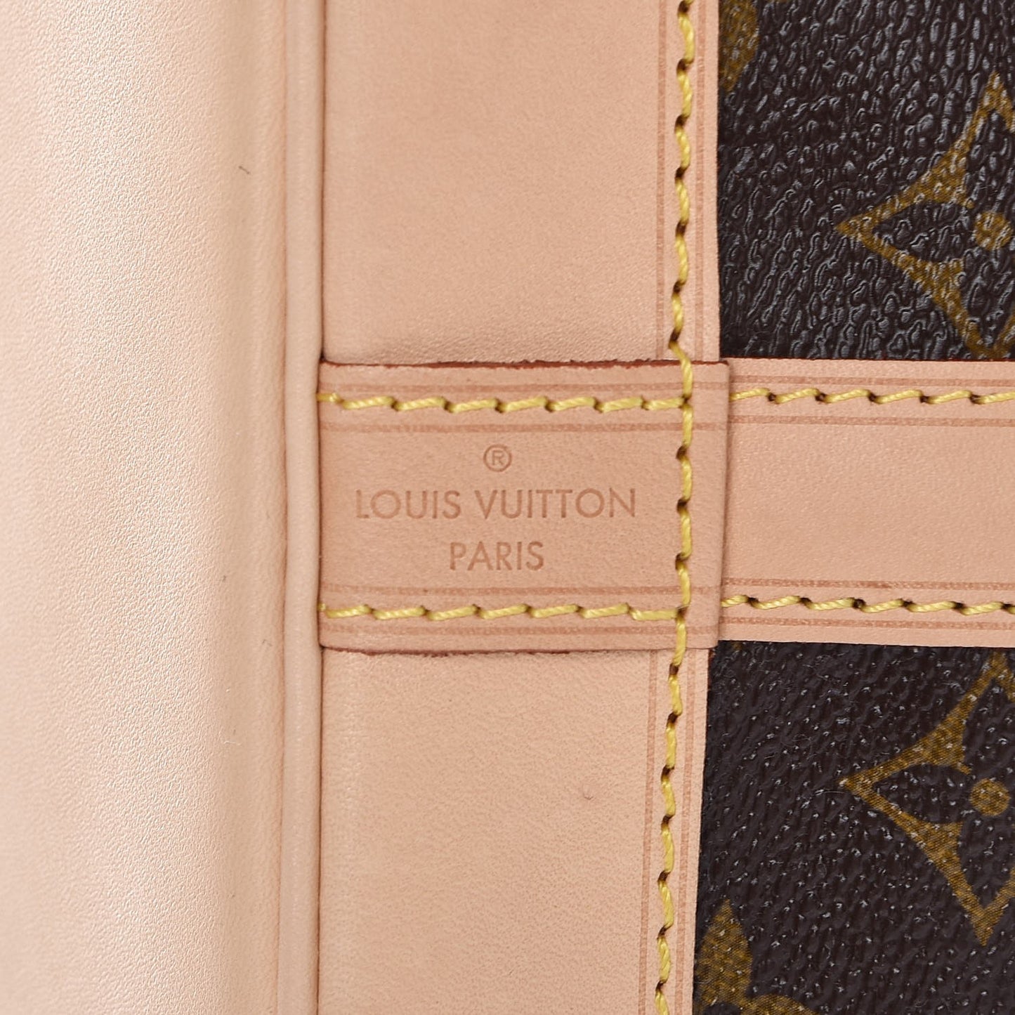 Monogram Petit Noe NM