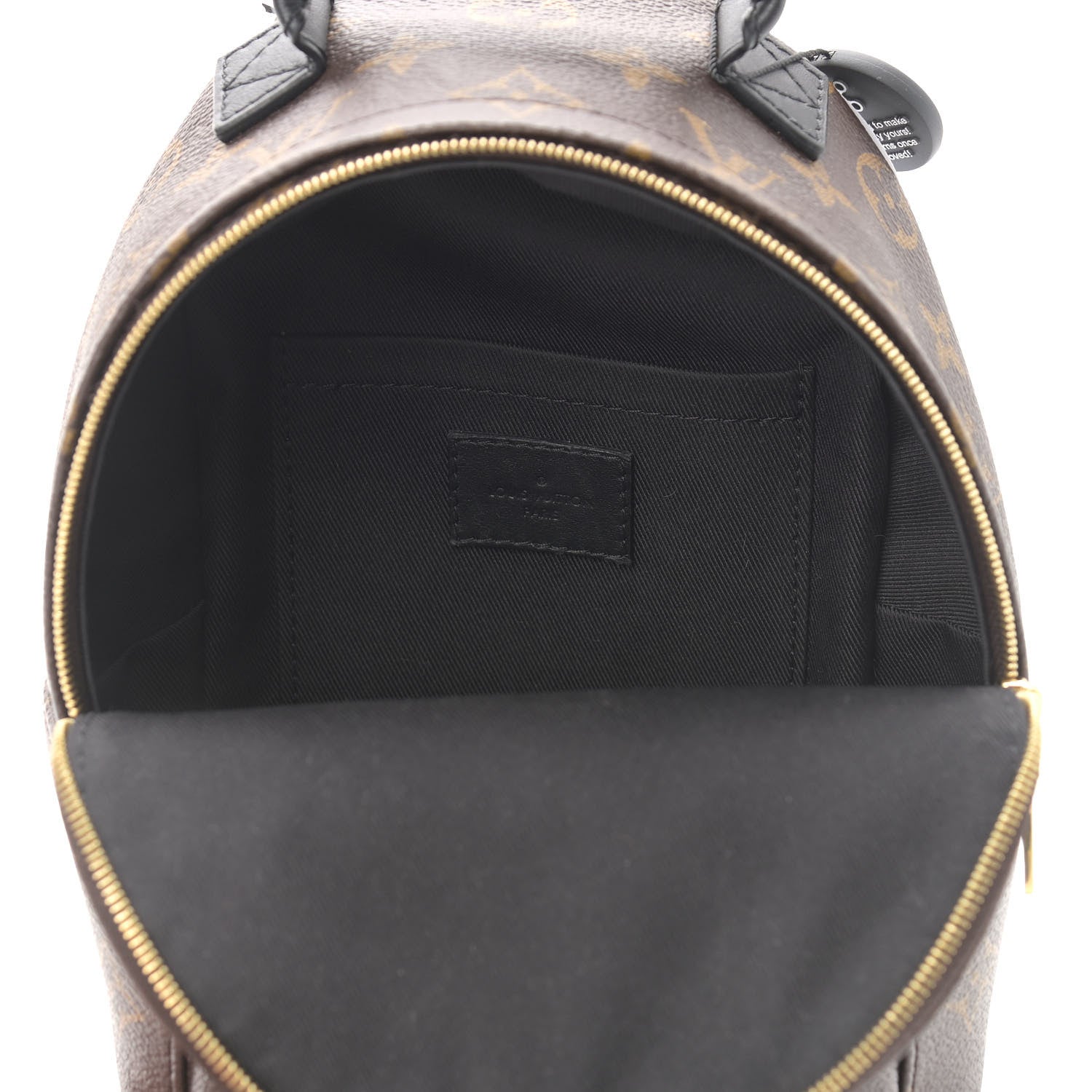 Louis Vuitton Monogram Palm Springs Backpack Mini 5 of 8