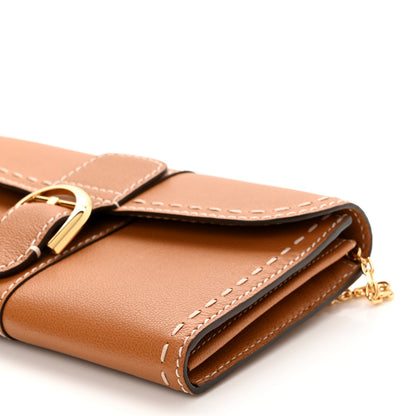 Delvaux Rodeo Calfskin Surpique Brillant Wallet on Chain Vegetal 9 of 9