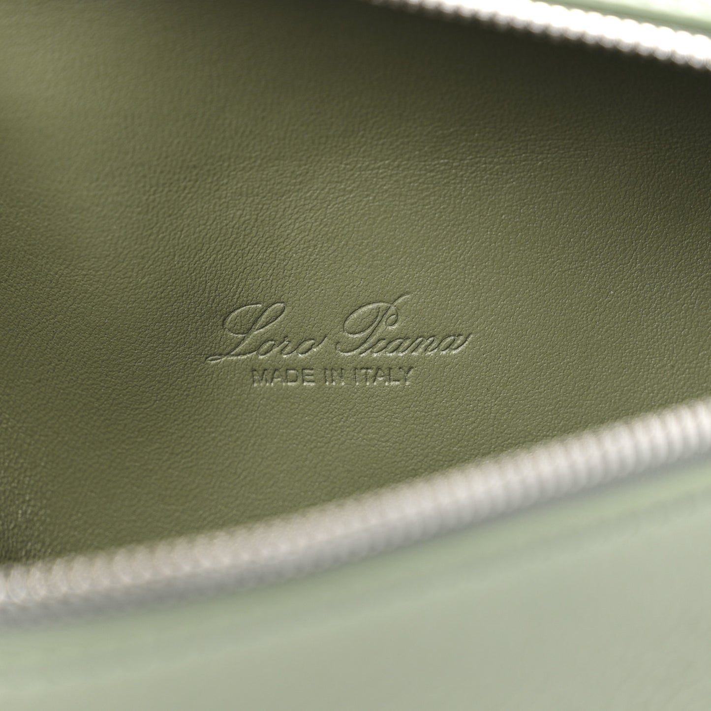 Grained Calfskin L19 Extra Pocket Pouch Sage Brush Leaves