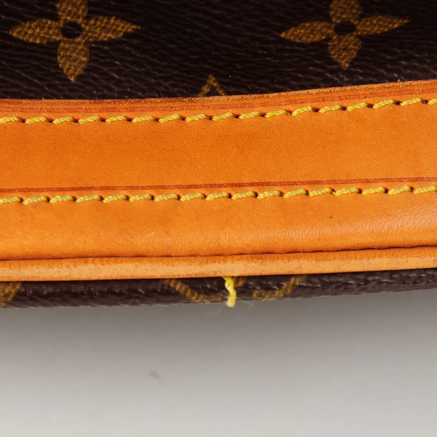 Monogram Petit Bucket 23