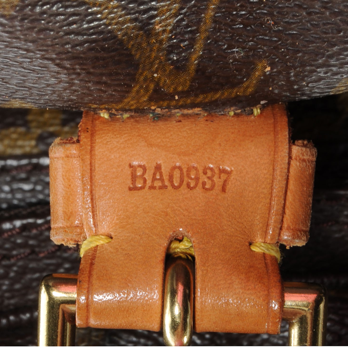 Monogram Montsouris GM Backpack