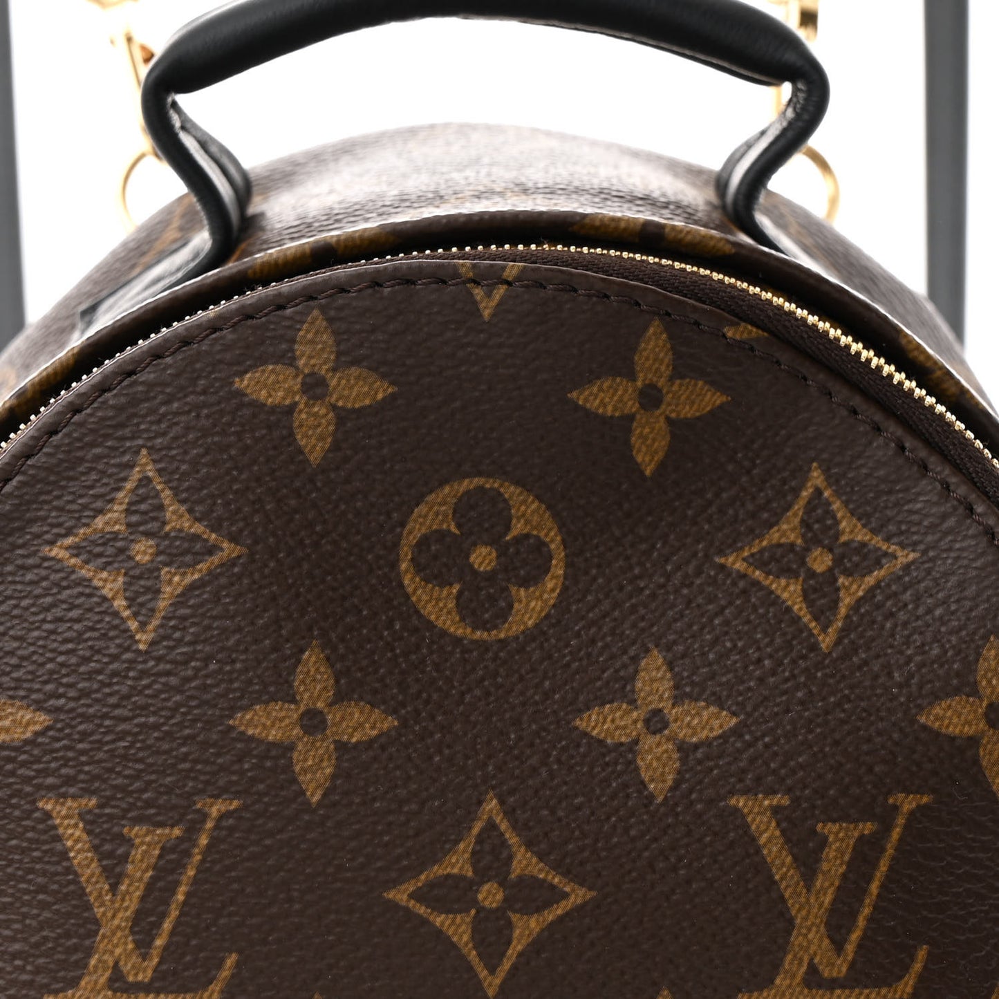 Monogram Palm Springs Backpack Mini