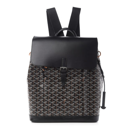 Goyard Goyardine Calfskin Alpin MM Backpack Black 1 of 9
