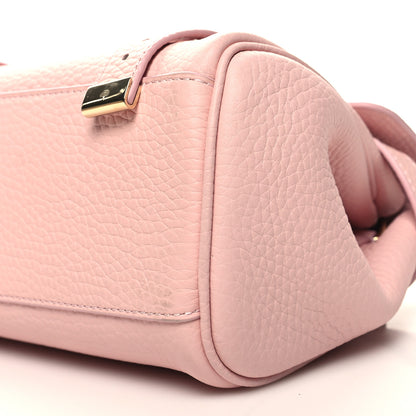 Mulberry Heavy Grain Mini Alexa Powder Rose 9 of 9