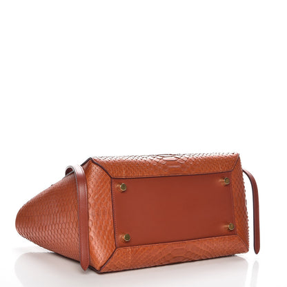 Celine Python Mini Belt Bag Red Ochre 4 of 6