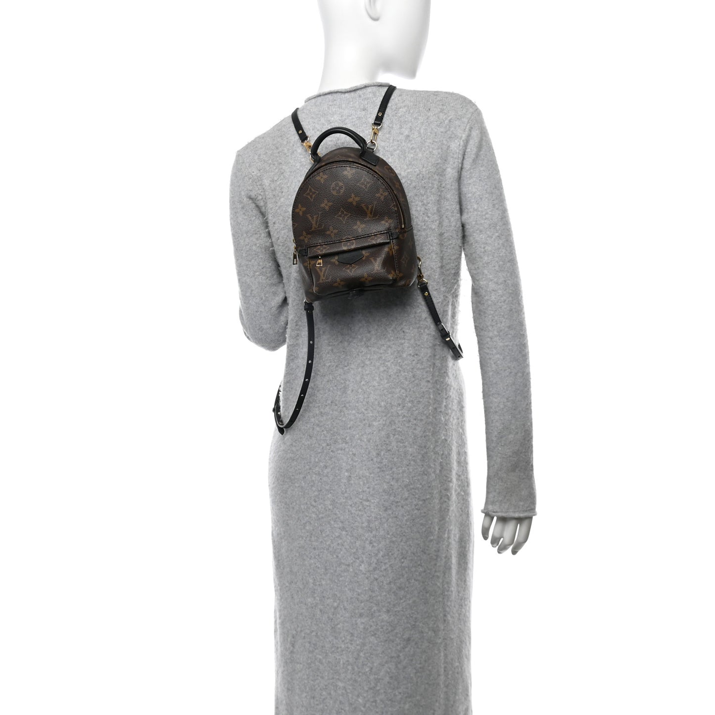 Monogram Palm Springs Backpack Mini