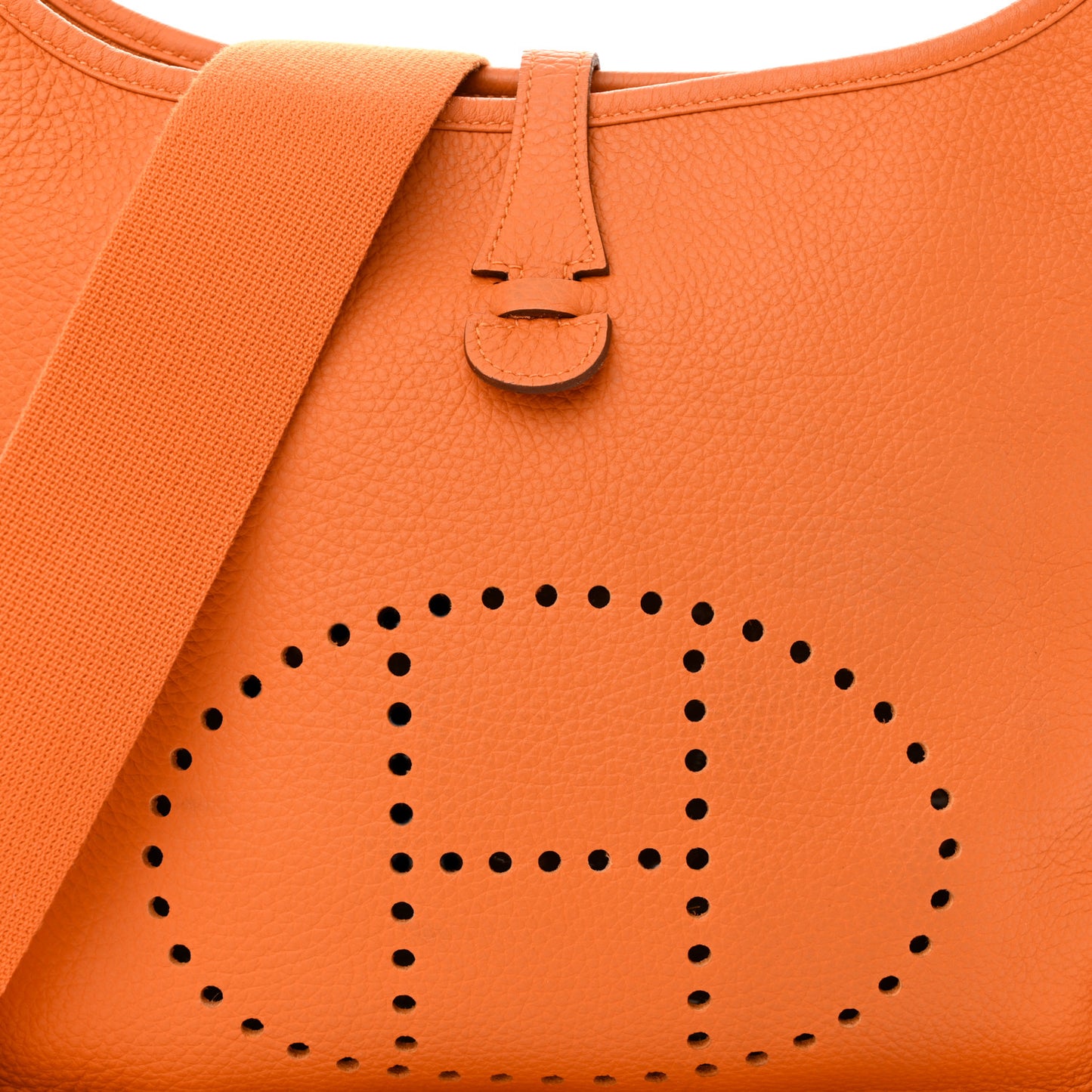 Taurillon Clemence Evelyne PM Orange