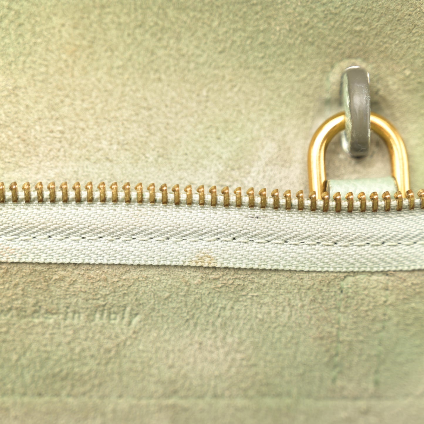 Grained Calfskin Nano Belt Bag Jade