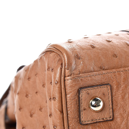 Mulberry Ostrich Bayswater Oak 9 of 13