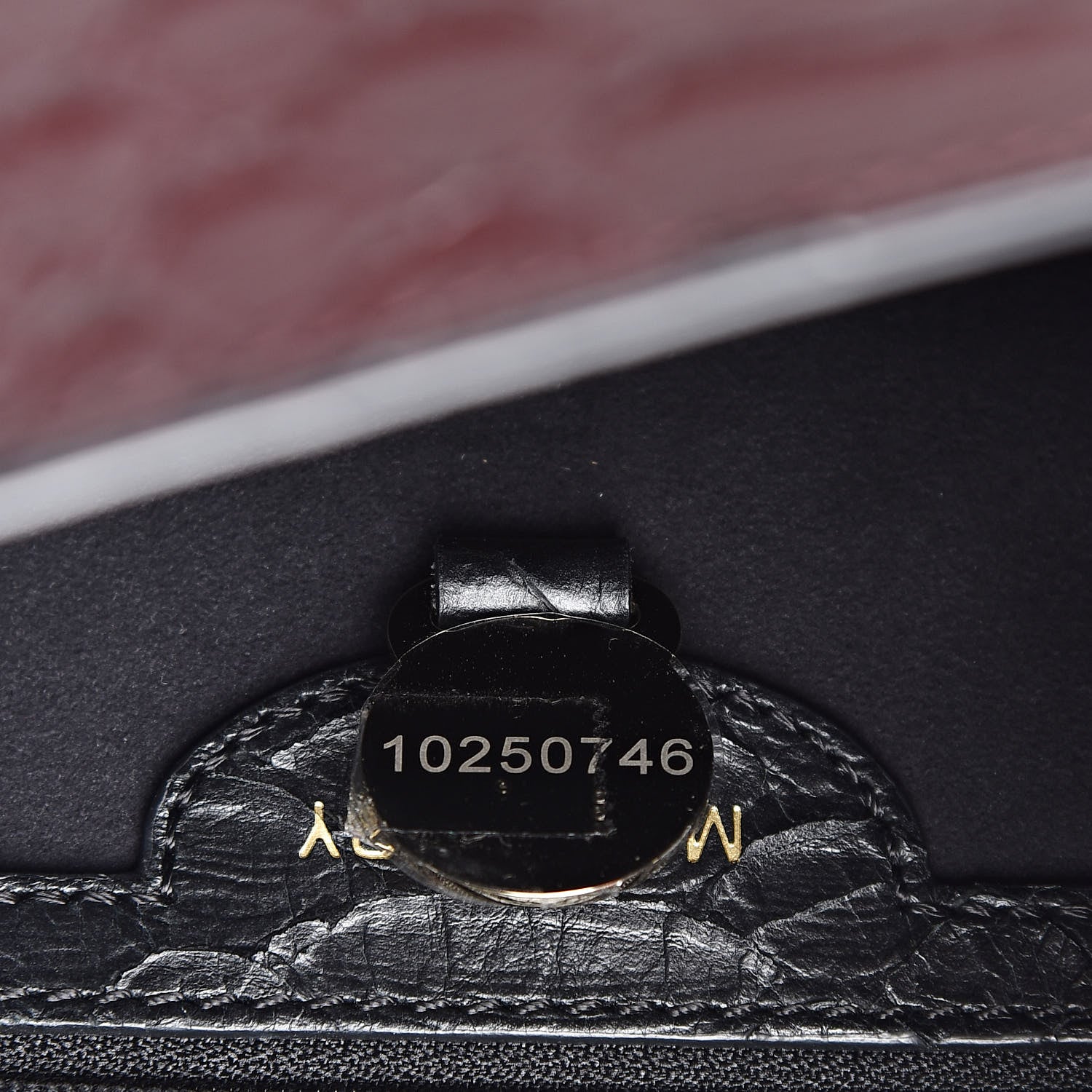 Mulberry Silky Python Calfskin Embossed Reversible Delphie Crossbody Oxblood Black 10 of 15