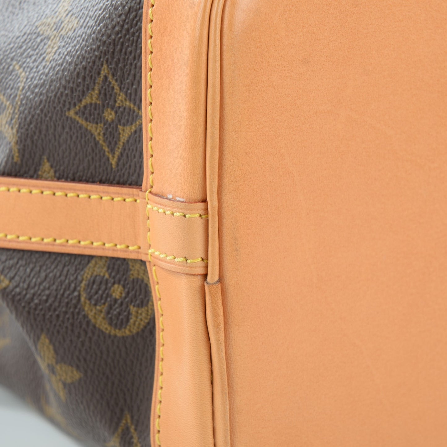 Monogram Mini Noe