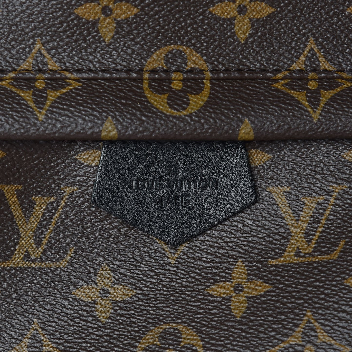 Monogram Palm Springs Backpack MM