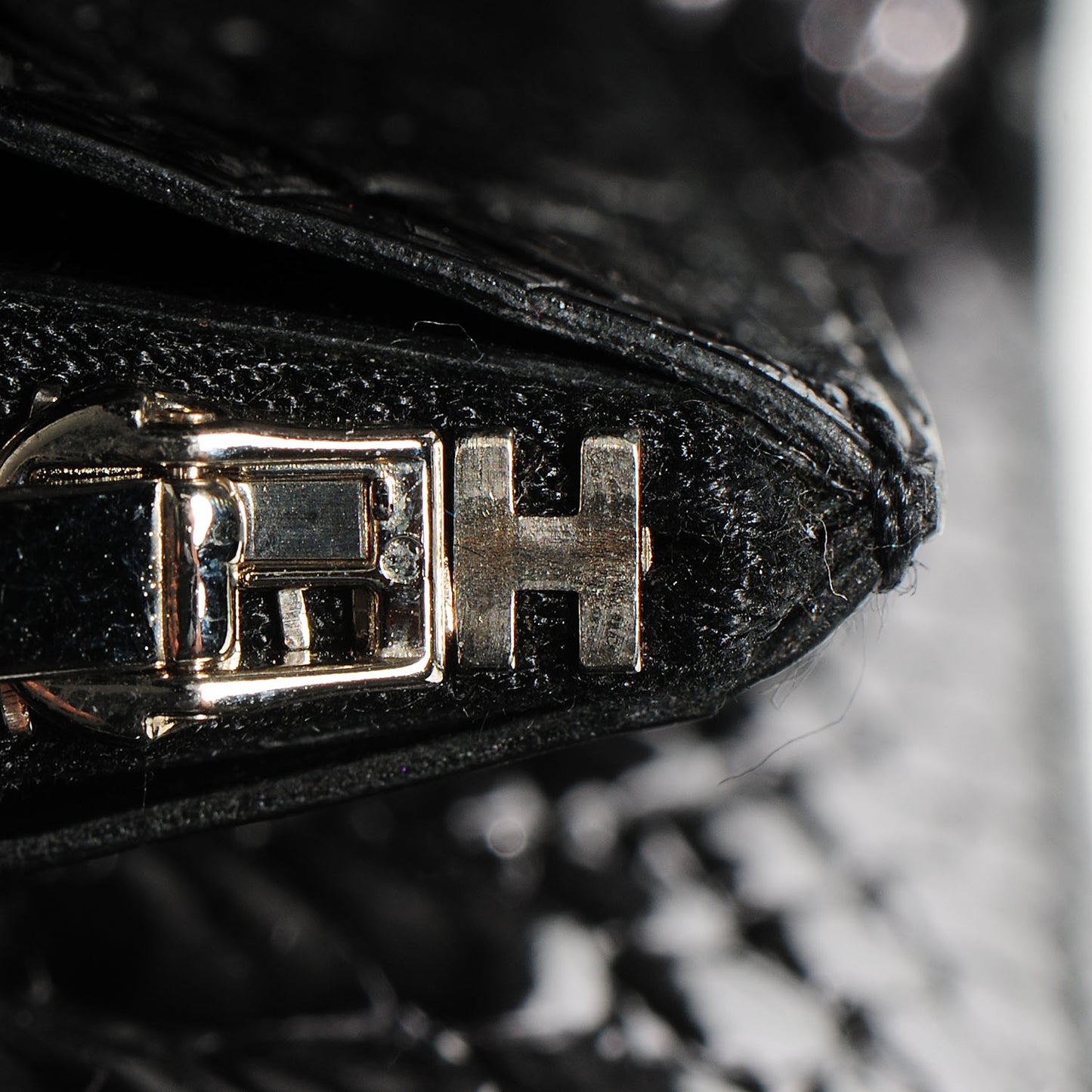 Shiny Alligator Constance Short Wallet Black