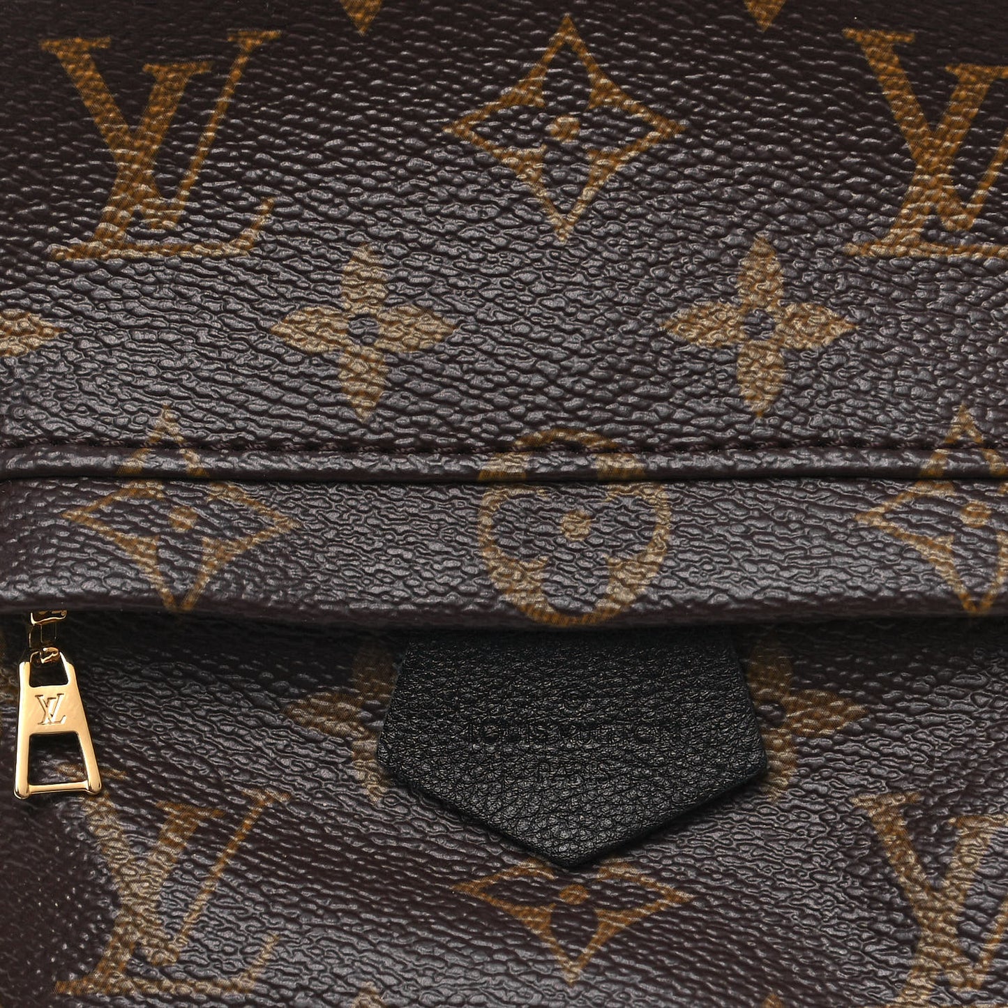 Monogram Palm Springs Backpack Mini