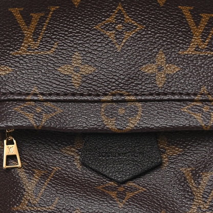 Louis Vuitton Monogram Palm Springs Backpack Mini 8 of 13
