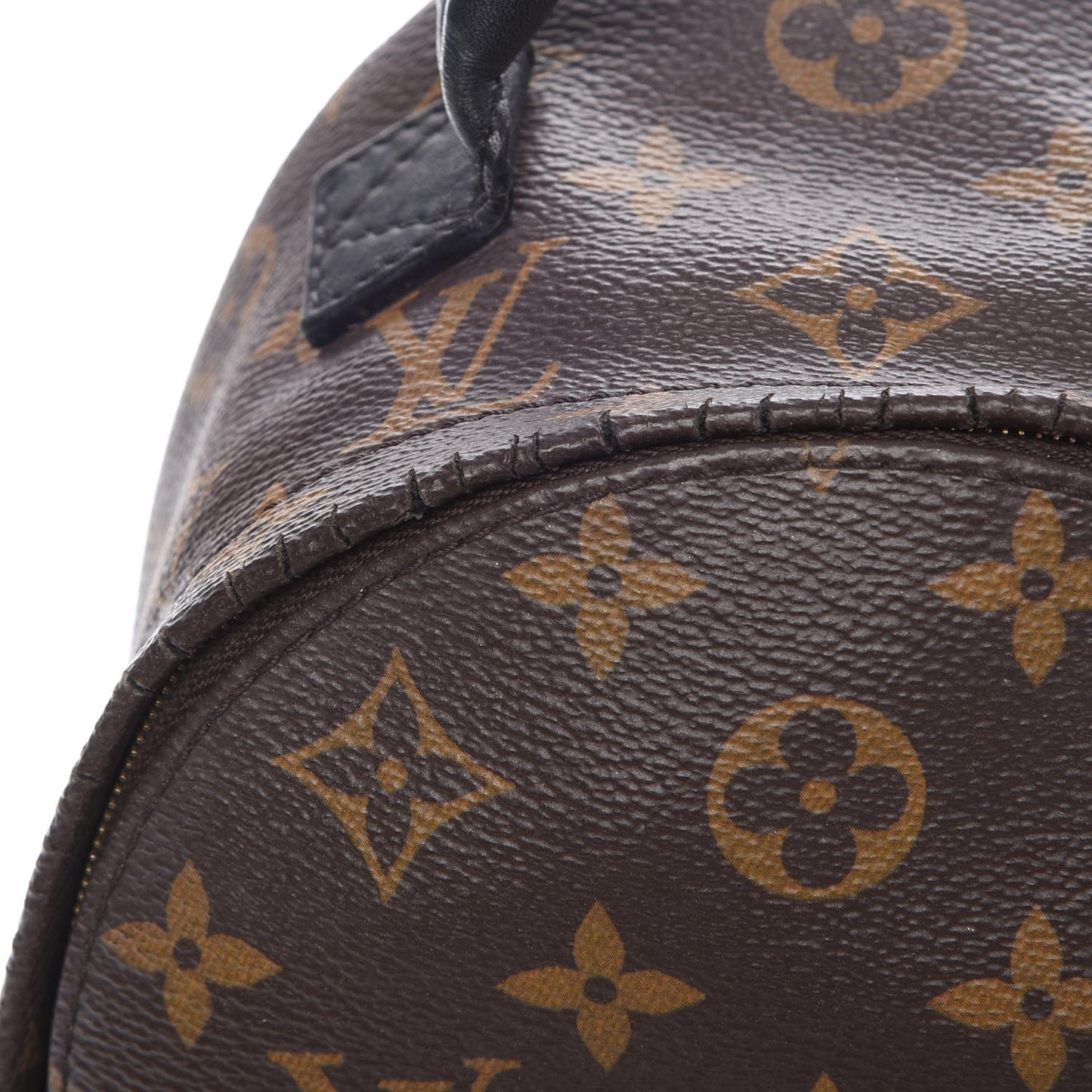 Monogram Palm Springs Backpack Mini
