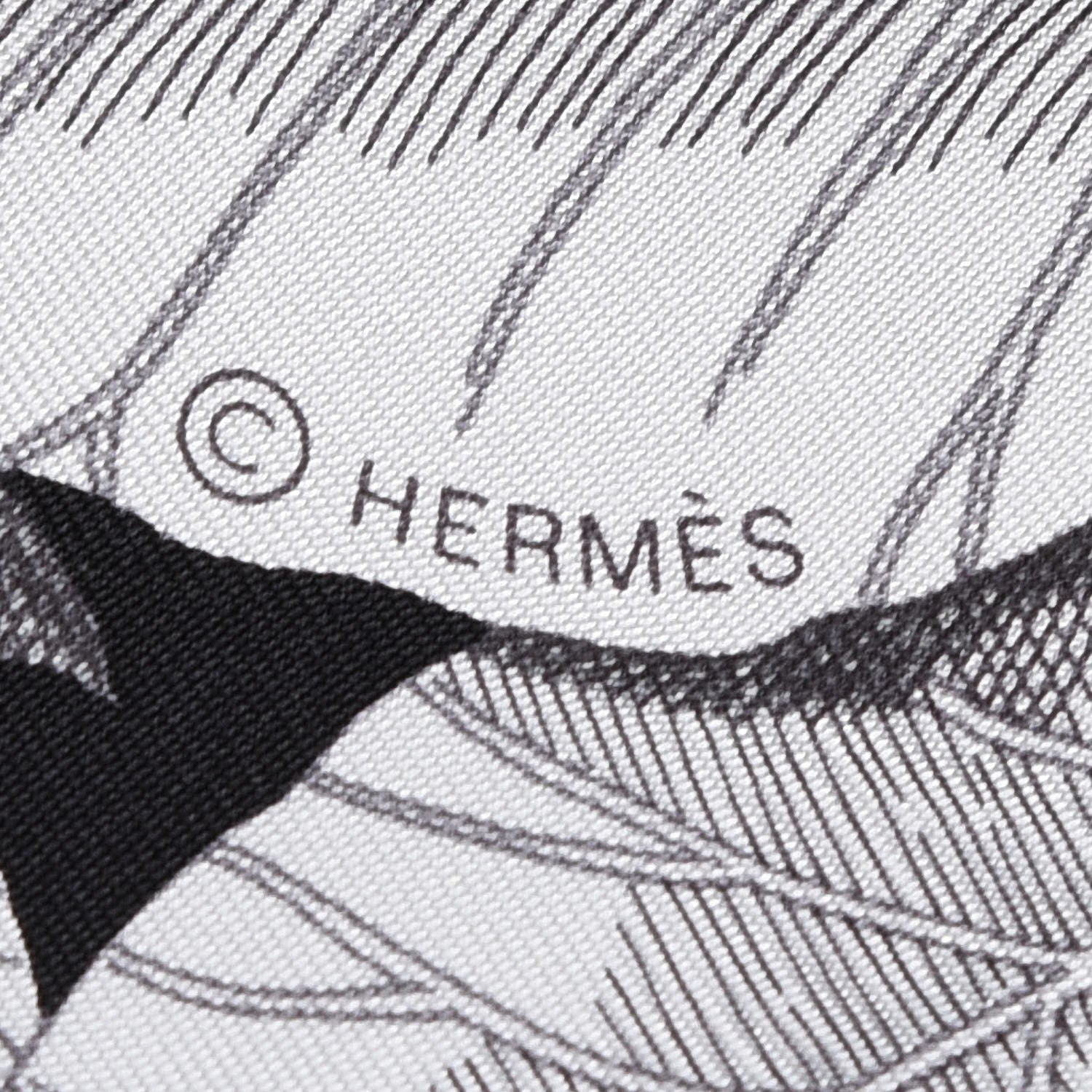 Hermes Silk Tous Les Bateaux Du Monde Scarf 90 5 of 6