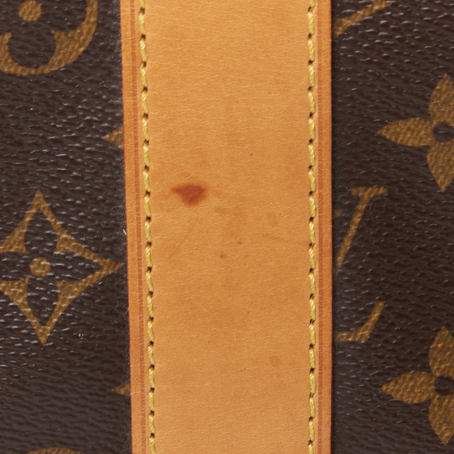 Monogram Carryall