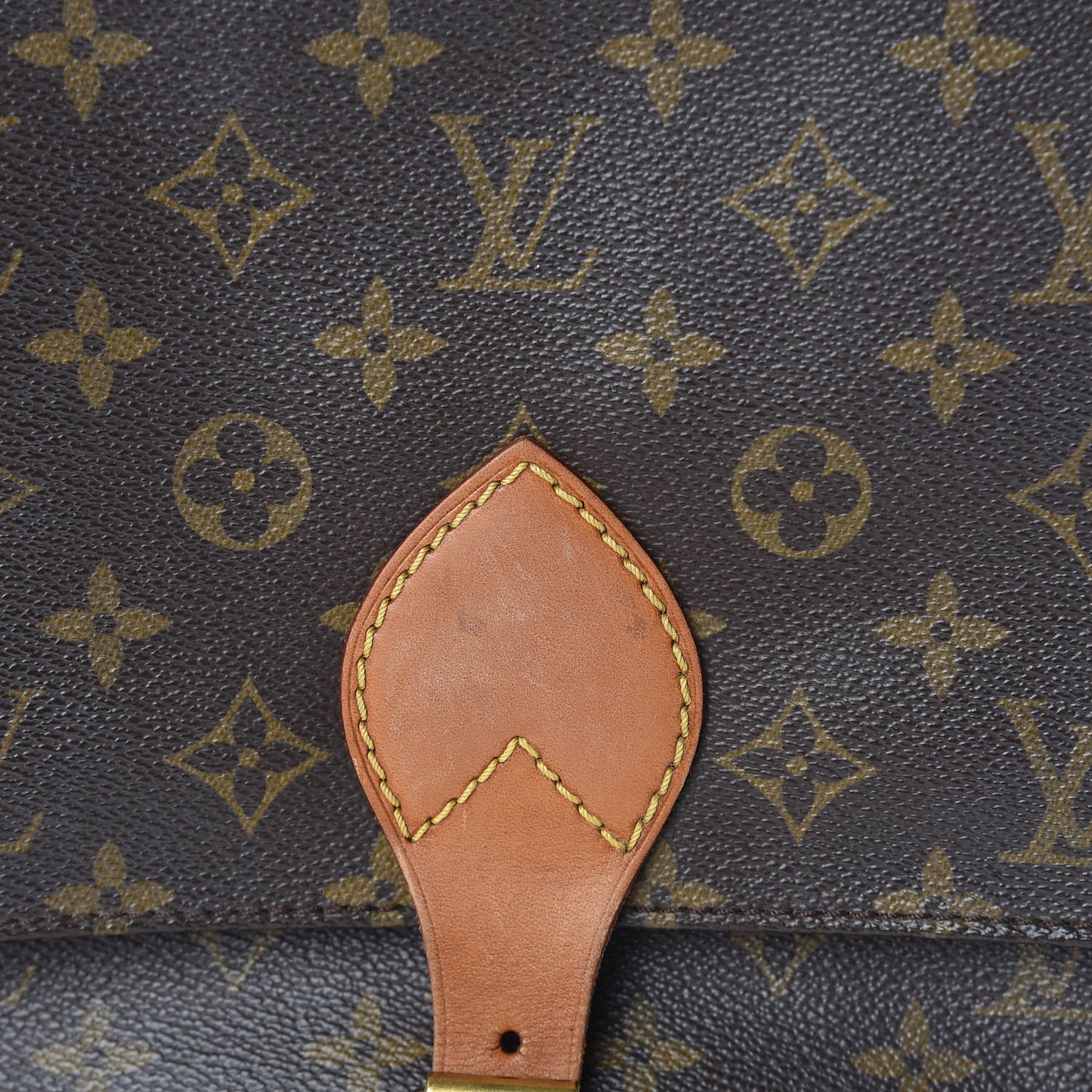 Monogram Cartouchiere 22