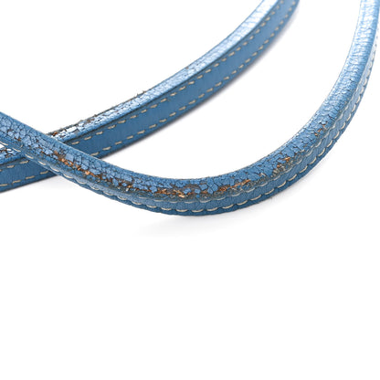 Goyard Goyardine Saint Louis PM Sky Blue 14 of 19