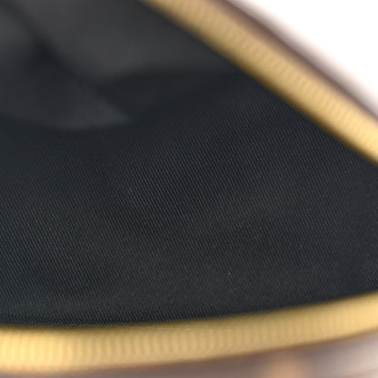 Louis Vuitton Monogram Palm Springs Backpack Mini 5 of 11