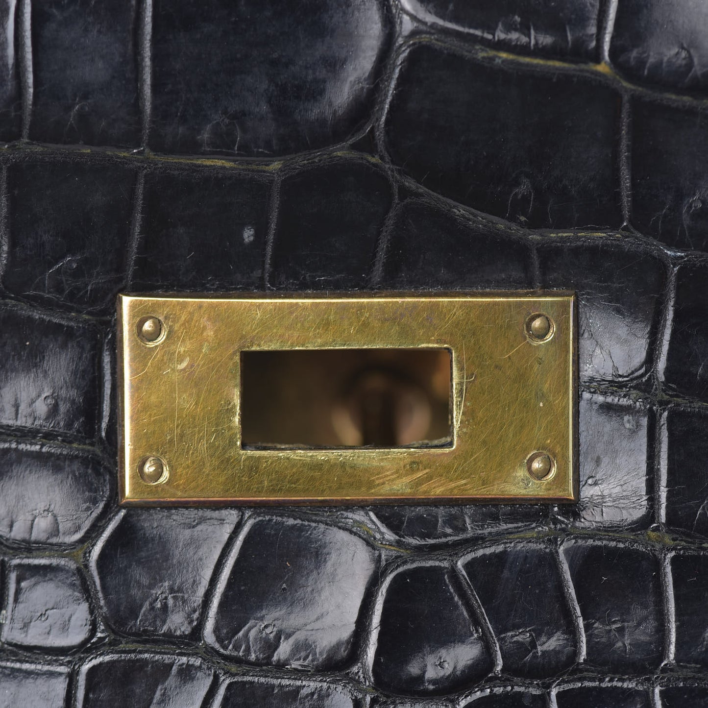 Shiny Niloticus Crocodile Kelly 28 Black