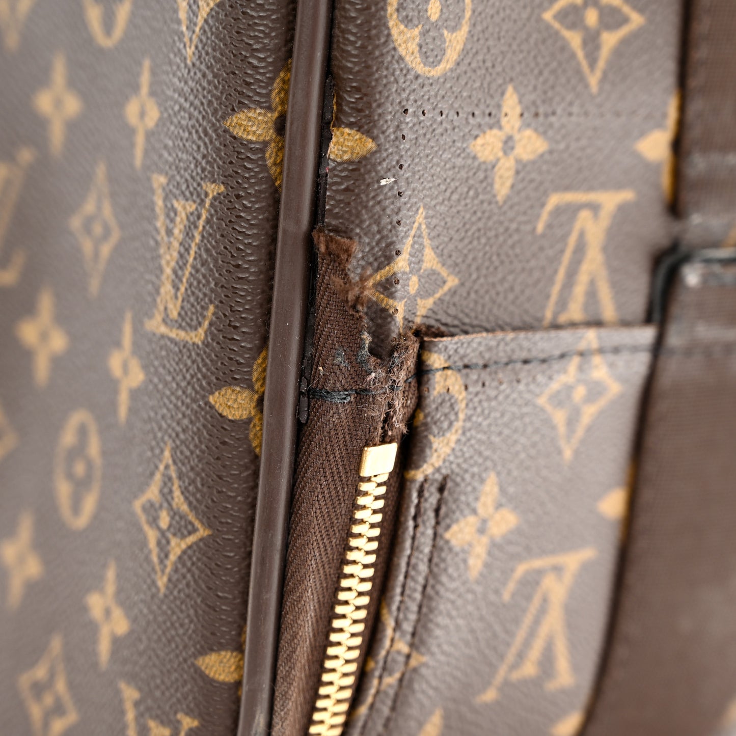 Monogram Pegase 55