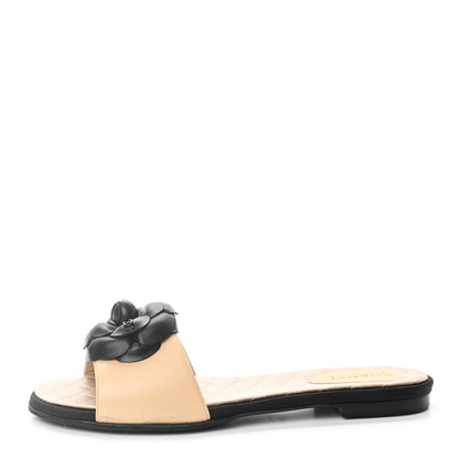 Chanel Lambskin Camellia Sandal Mule 39.5 Beige Black 2 of 16