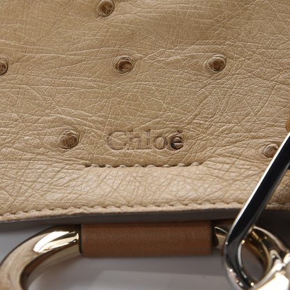 Chloe Ostrich Calfskin Small Faye Shoulder Bag Light Brown 8 of 10
