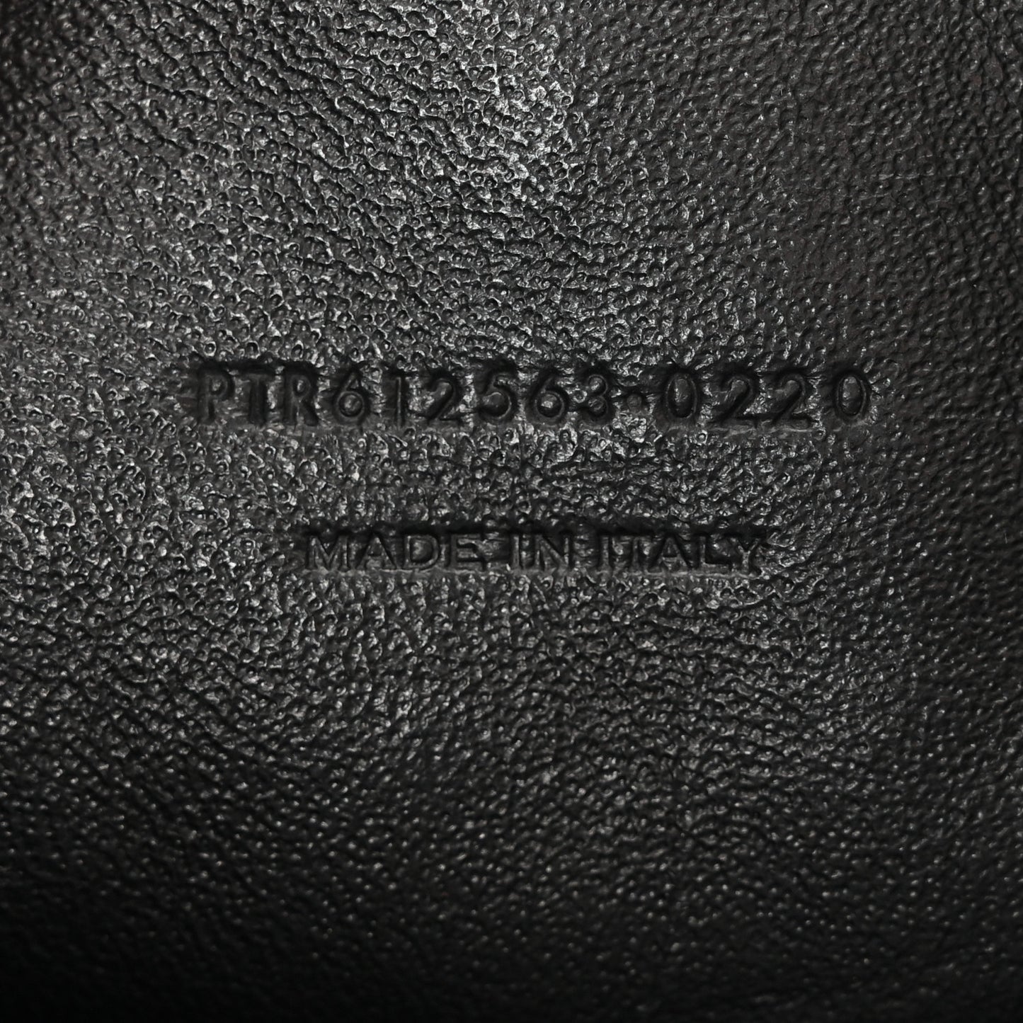 Canvas Calfskin Leopard Print Monogram Mini Lou Camera Bag Brown