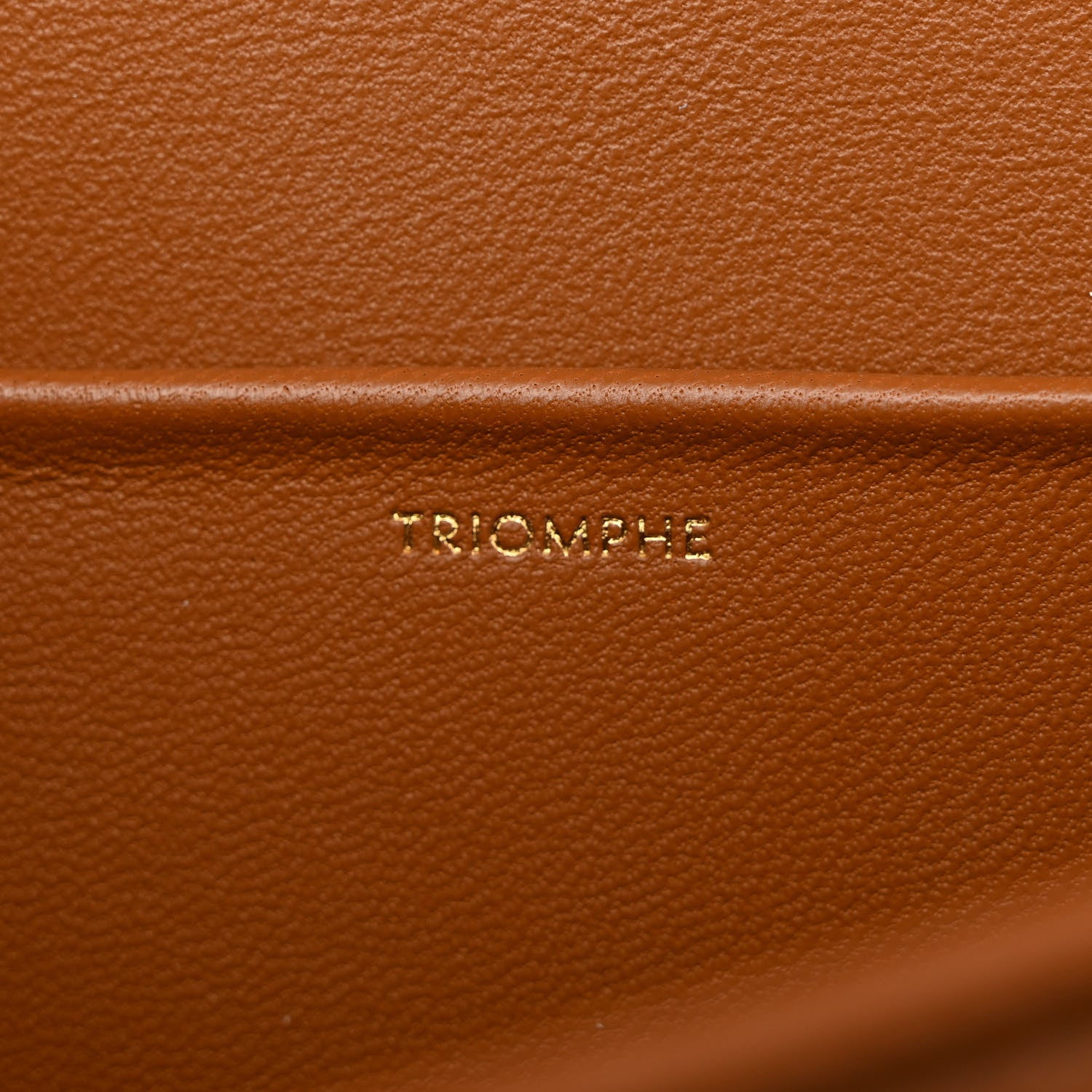 Celine Triomphe Canvas Calfskin Medium Triomphe Bag Tan 9 of 12