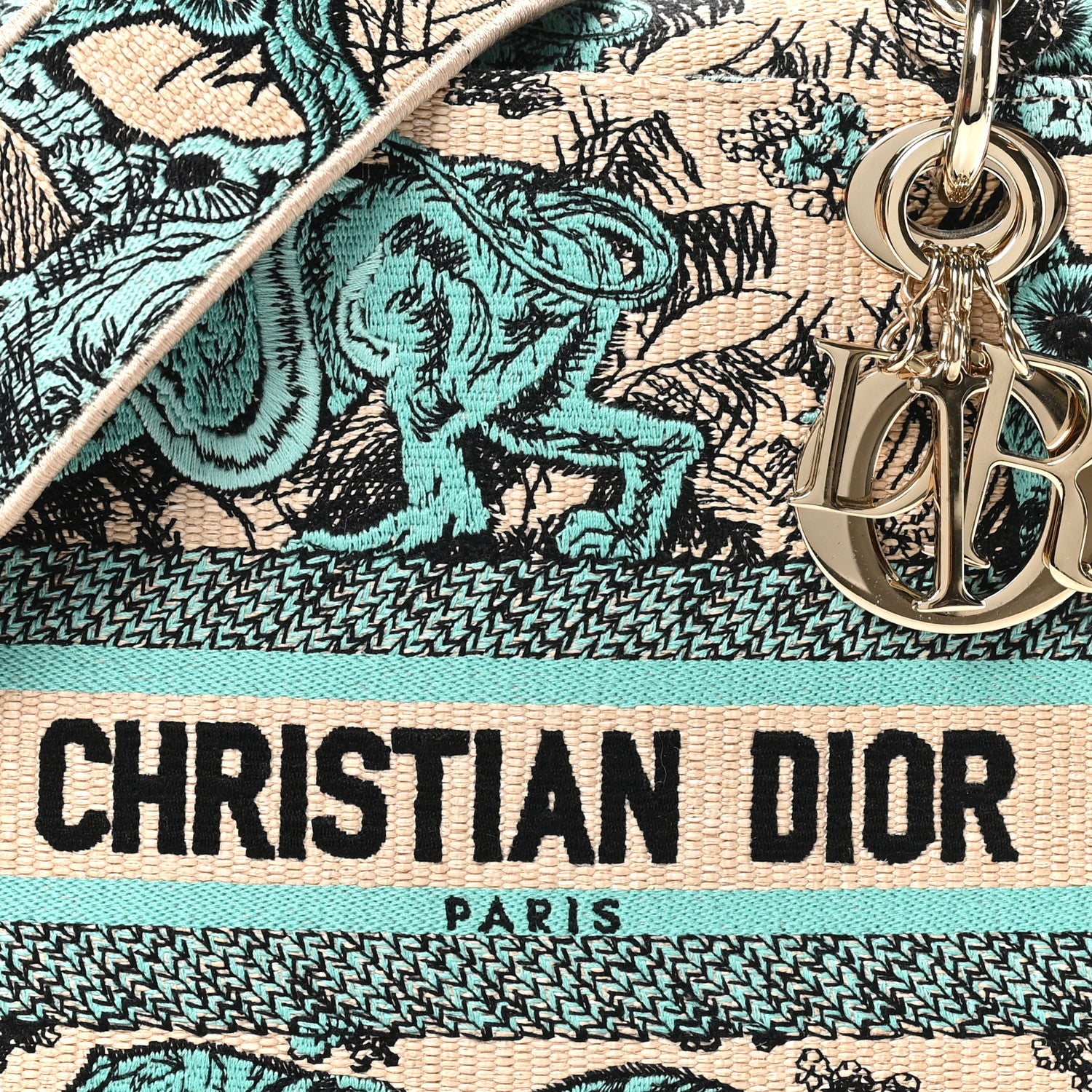 Christian Dior Raffia Toile De Jouy Sauvage Embroidered Medium
