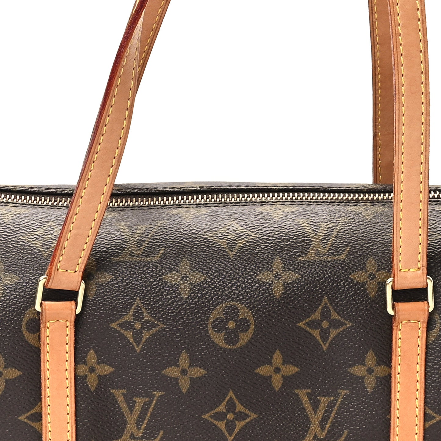 Monogram Papillon 30 with Companion
