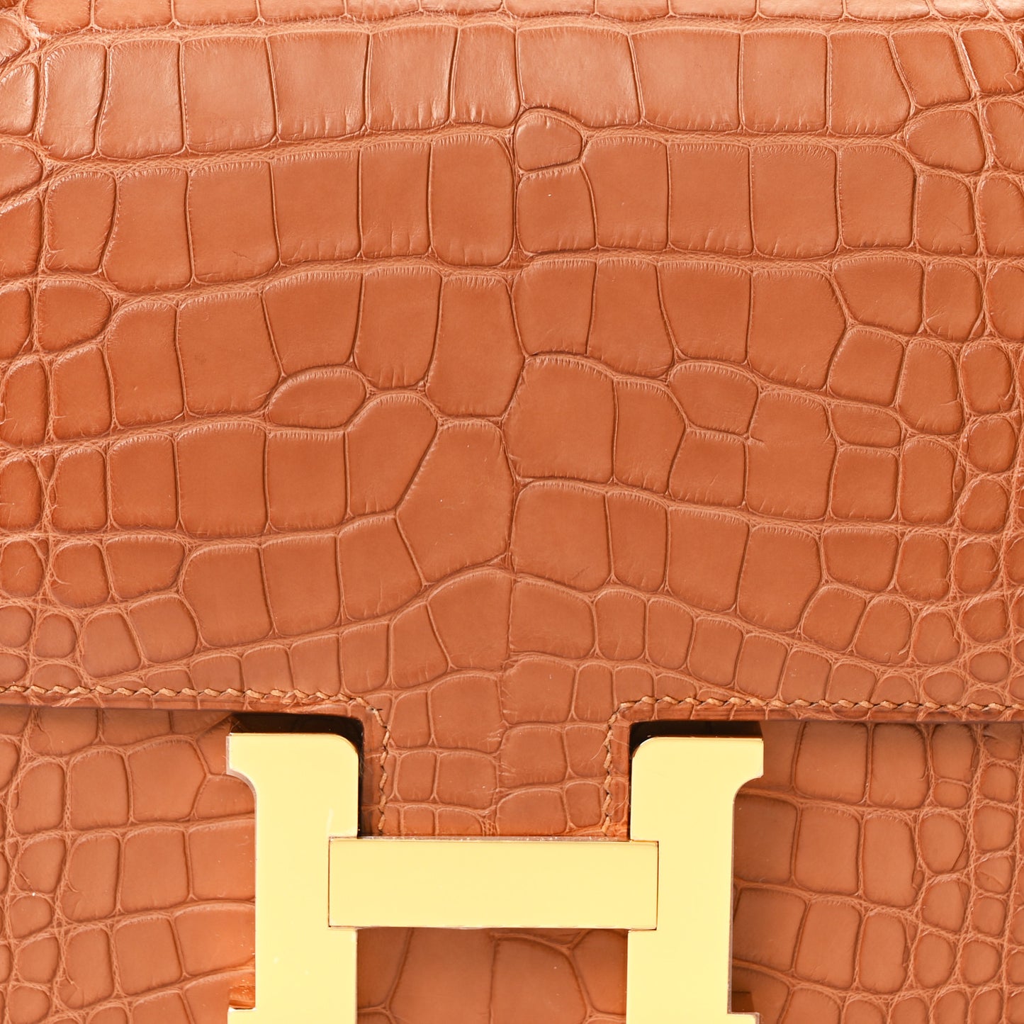 Matte Alligator Constance 18 Gold