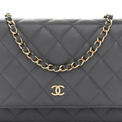 Chanel Caviar Quilted Wallet on Chain WOC Grey 9 of 11