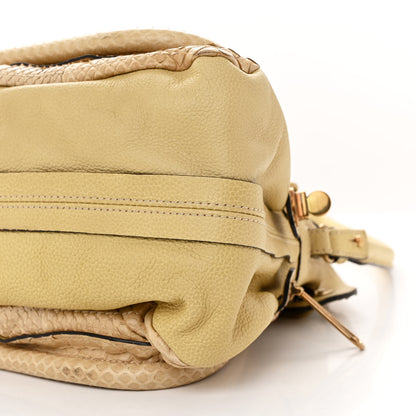 Chloe Snakeskin Medium Paraty Beige 10 of 17