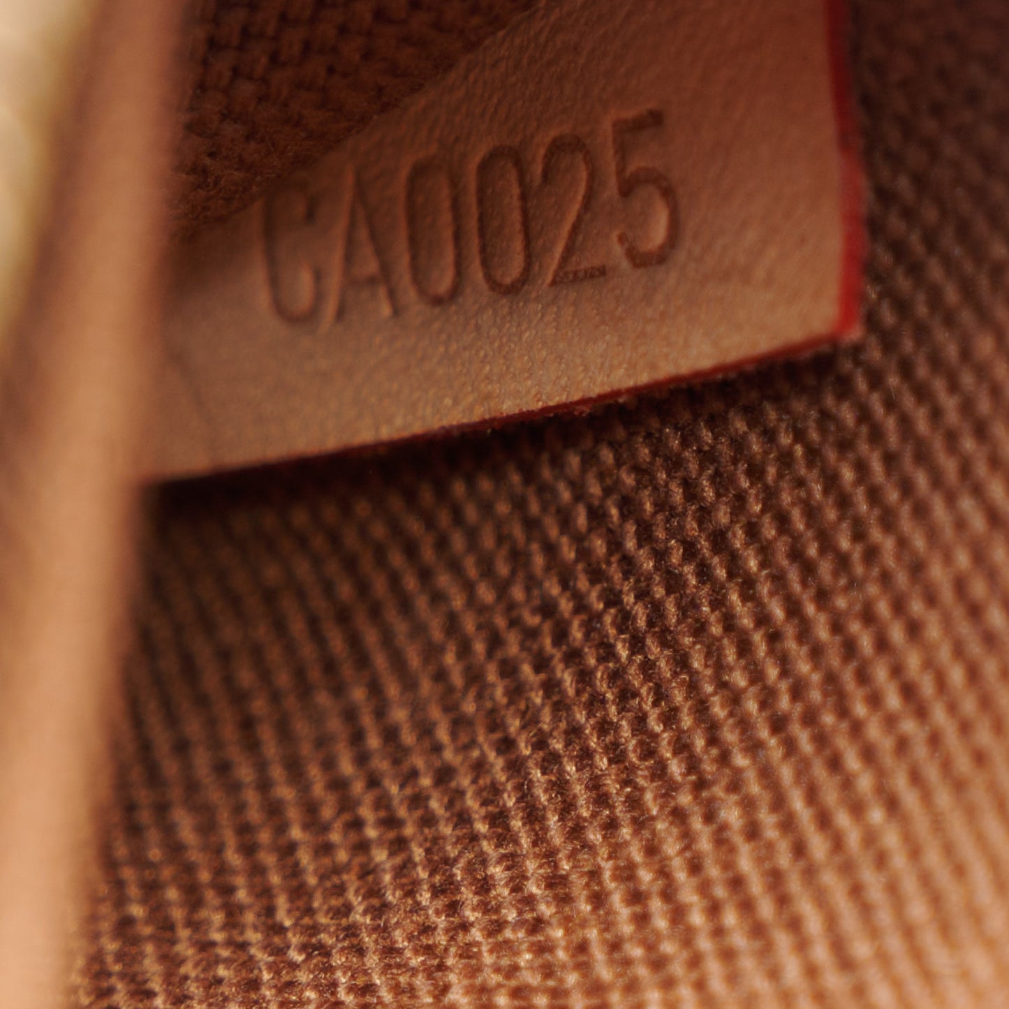 Monogram Ribera Mini