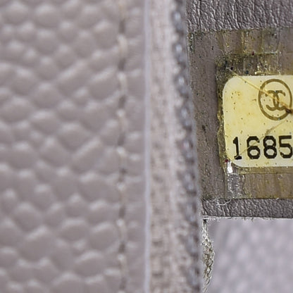 Chanel Caviar Half Moon Wallet On Chain WOC Light Grey 8 of 14