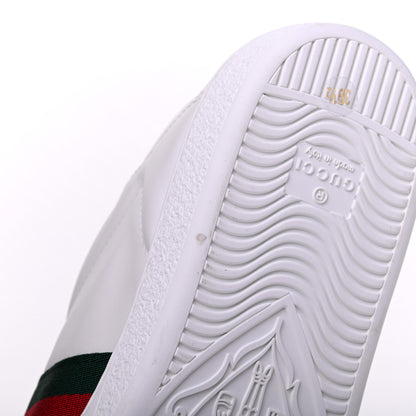Gucci Calfskin Web Bee Embroidered Womens Ace Sneakers 39.5 White Green 9 of 13