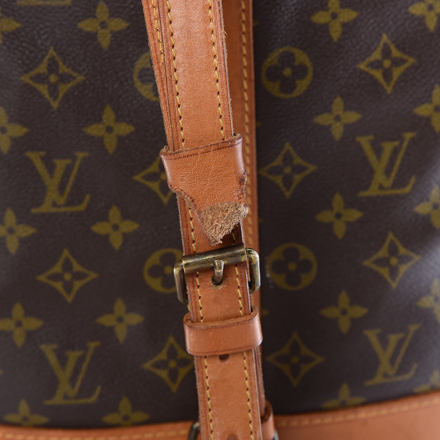 Monogram Randonnee GM Backpack