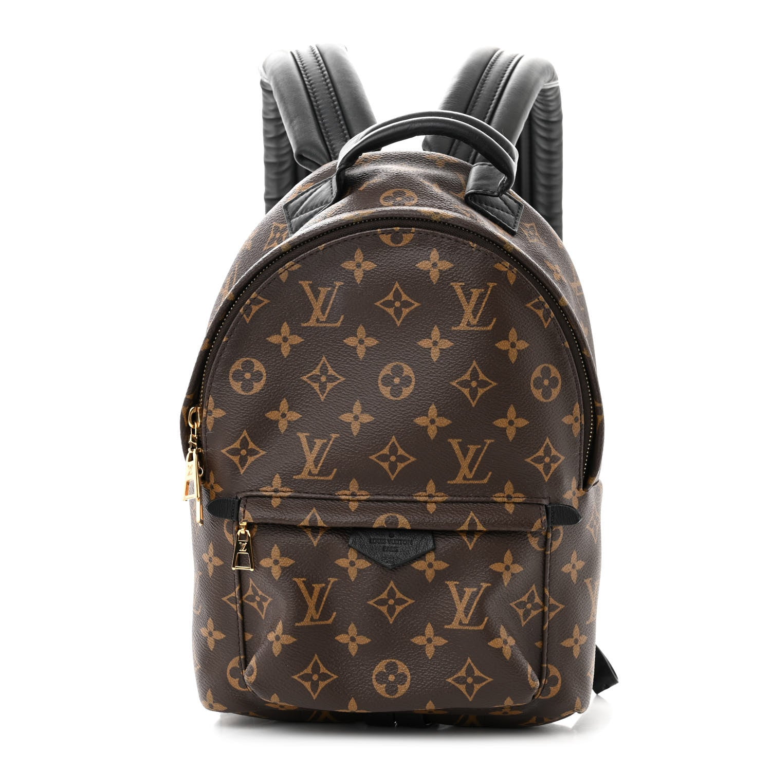 Louis Vuitton Monogram Palm Springs Backpack PM 1 of 10