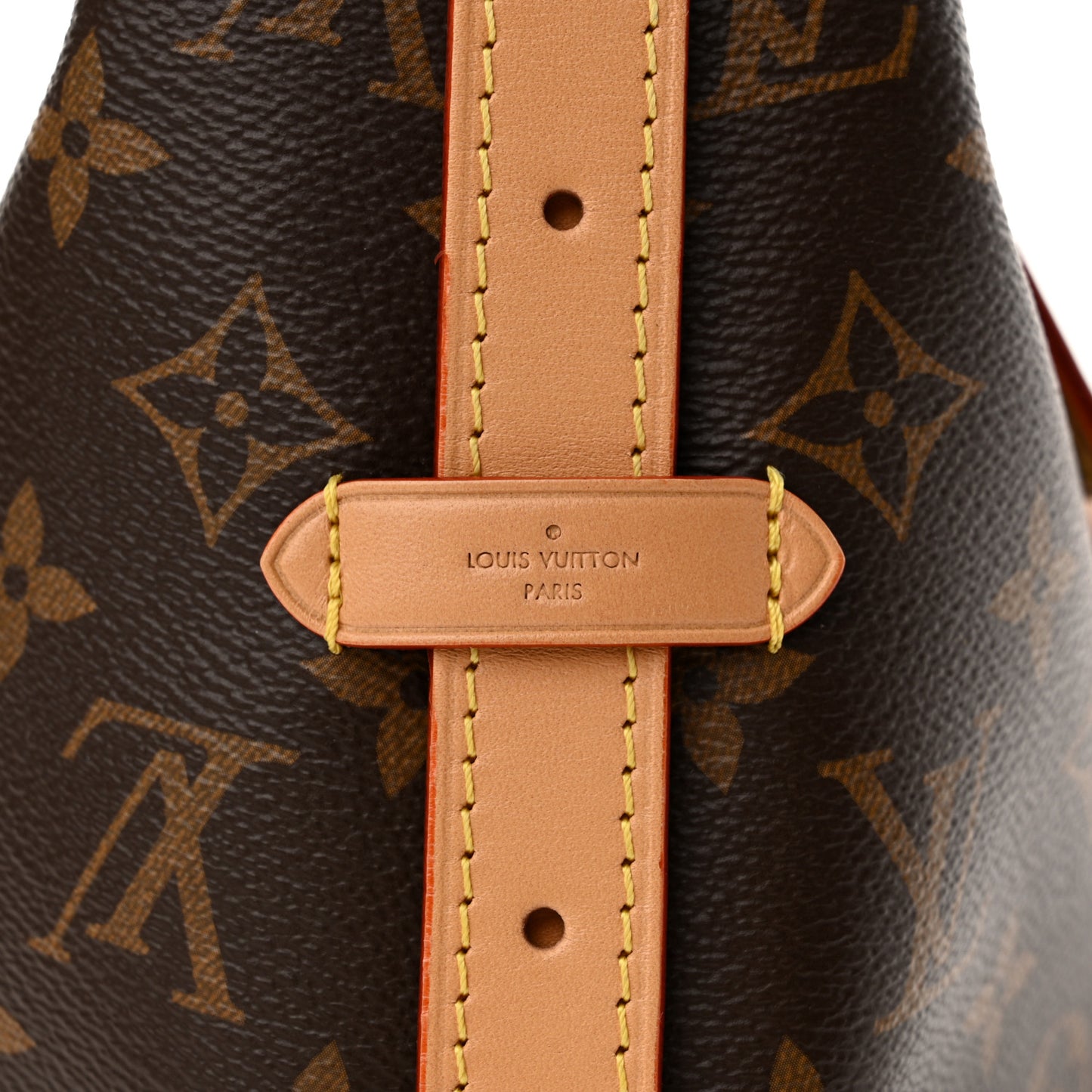 Monogram CarryAll PM