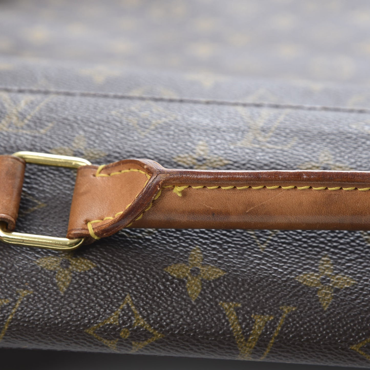 Monogram Garment Bag