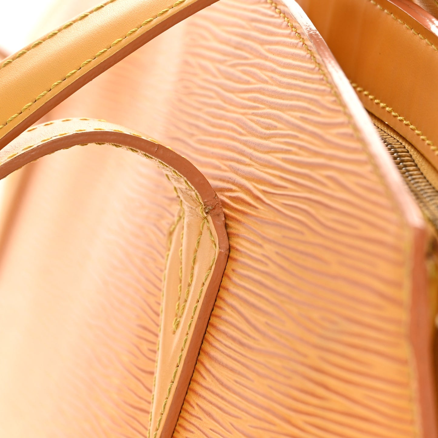 Epi Saint Jacques GM Tassil