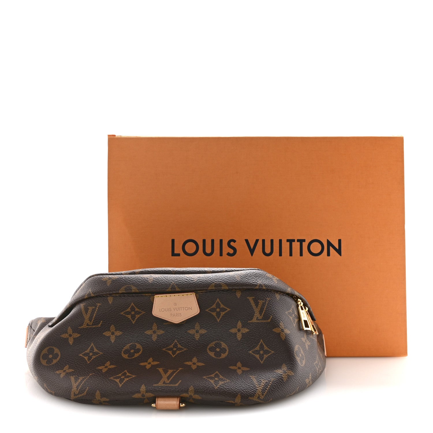 Louis Vuitton Monogram Bumbag 14 of 14