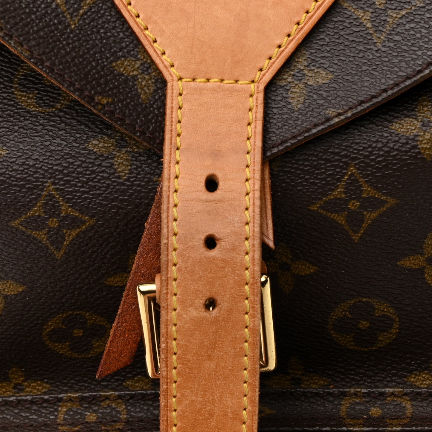 Monogram Montsouris GM Backpack