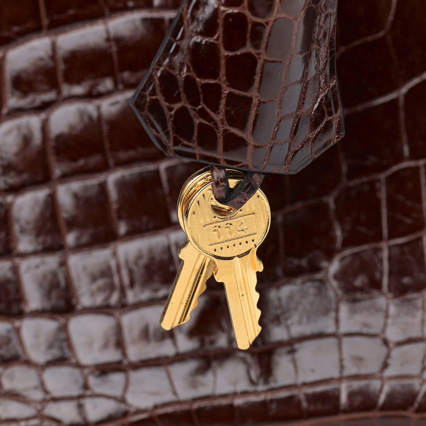 Shiny Niloticus Crocodile Birkin 25 Miel